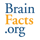 BrainFacts