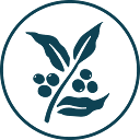 George Howell Coffee