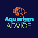 Aquarium Advice