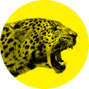 Locarno Film Festival