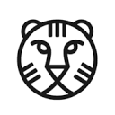 Rotterdam Film Festival