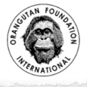 Orangutan Foundation International
