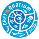 Cretaquarium
